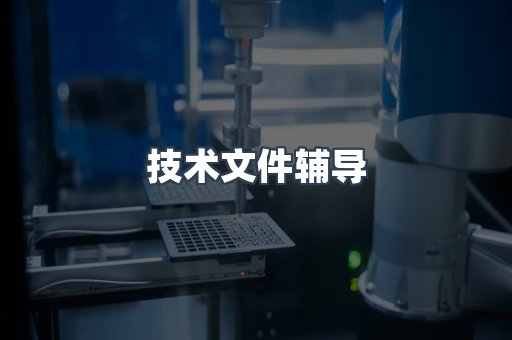 技术文件辅导